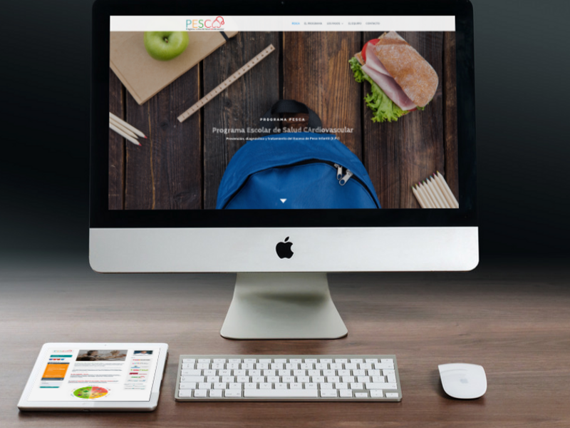 Diseño Web Programa PESCA por Medigest Consultores CGB