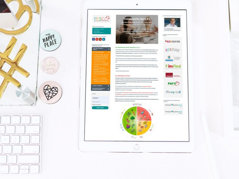 Diseño Web Programa PESCA responsive por Medigest Consultores CGB